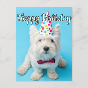 Postal Esperas tener un feliz cumpleaños