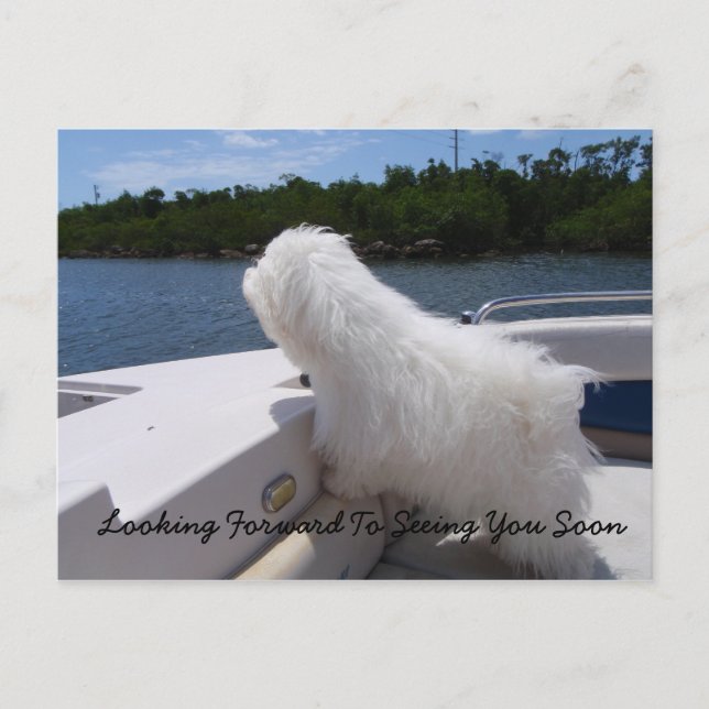 Postal Espero Verle Pronto (Anverso)