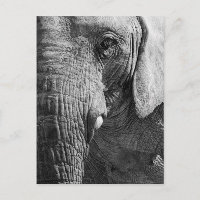 Postal Espía del ojo (Anverso)