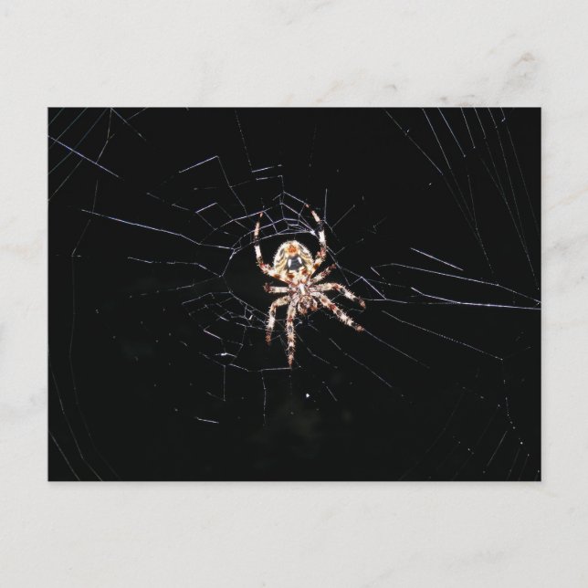 POSTAL ESPIDER EN LA OSCURIDAD (Anverso)