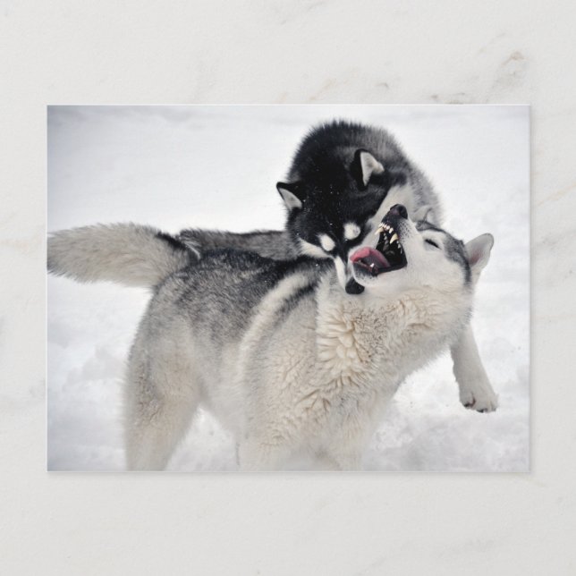 Postal espielodernista (Anverso)