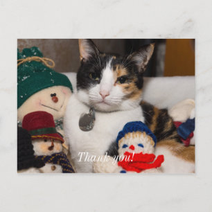 Postal Espio A Calico Gracias Postcard