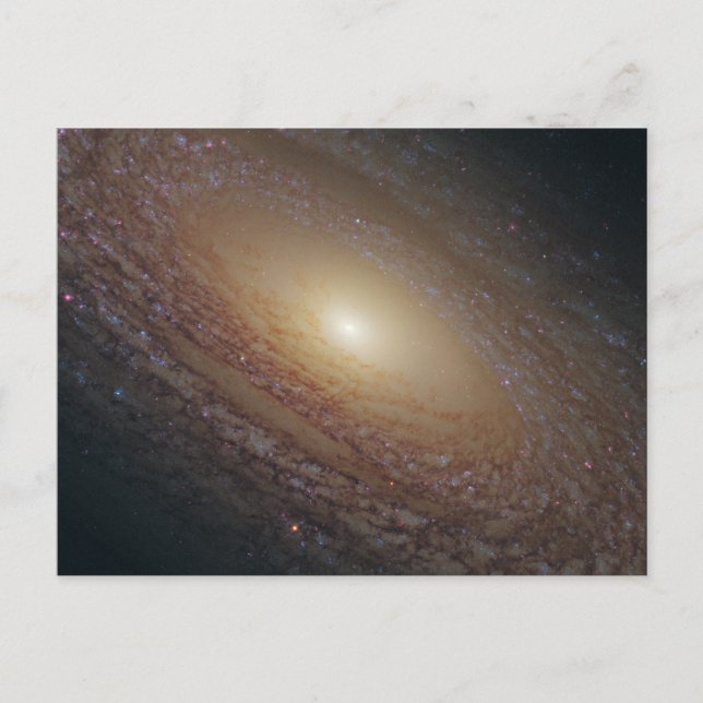 Postal Espiral floculenta NGC 2841 (Anverso)