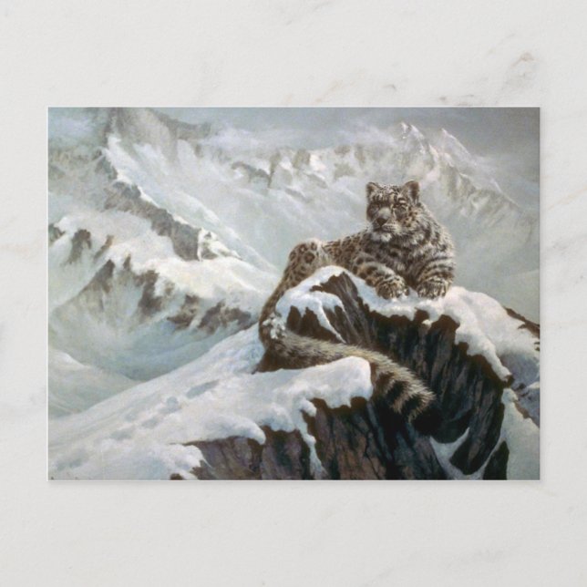 Postal Espíritu de las montañas, leopardo de la nieve (Anverso)