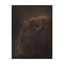 Espíritu del Búfalo