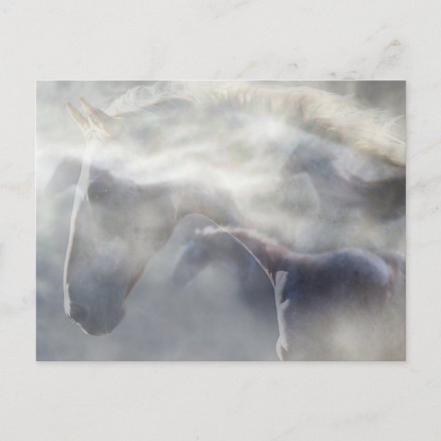 Postal Espíritu del caballo (Anverso)