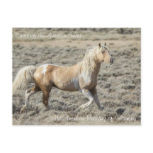 Espíritu del Oeste Americano - Postcard