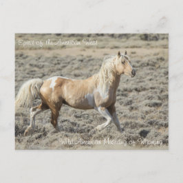 Postal Espíritu del Oeste Americano - Postcard