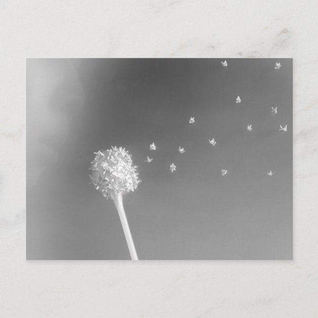 Postal Espíritu del Viento (Anverso)