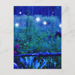 Postal Espíritu Ilumina Noche Azul Marshy Meadow Orbs