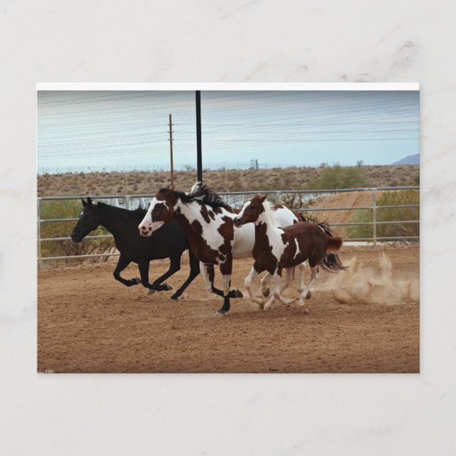 Postal Espíritus desgarradores (Anverso)