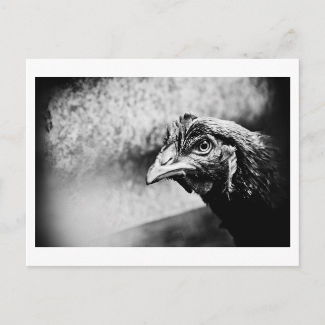 Postal espíritus y pollos (Anverso)