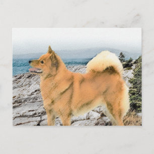 Postal Espitz finlandés en la pintura de la costa - Arte
