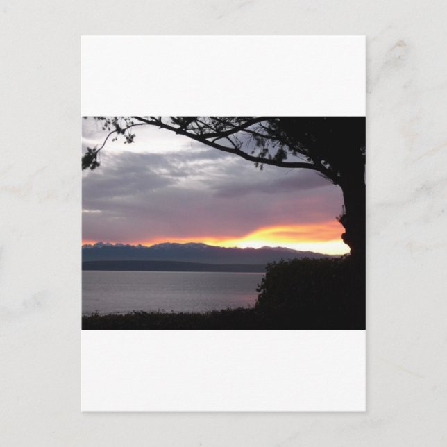 Postal Espléndida puesta de sol de la frente de agua (Anverso)