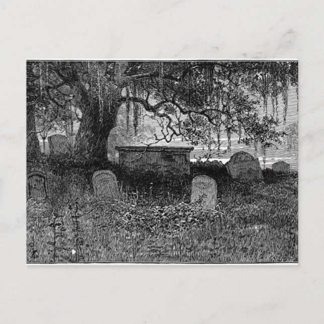 Postal Espléndido cementerio de Halloween (Anverso)