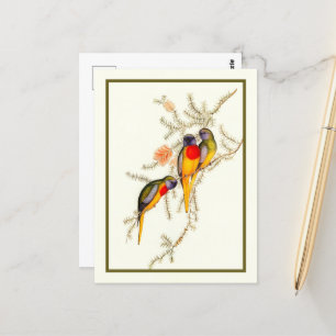 Postal Espléndido paracaídas de hierba, cosecha