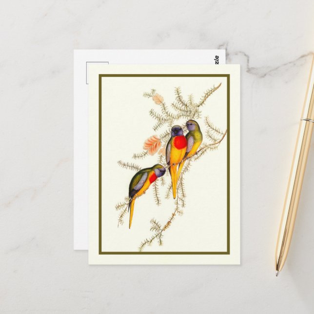 Postal Espléndido paracaídas de hierba, cosecha (Anverso/Reverso In Situ)