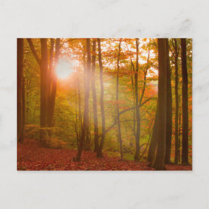 Postal Esplendor de otoño