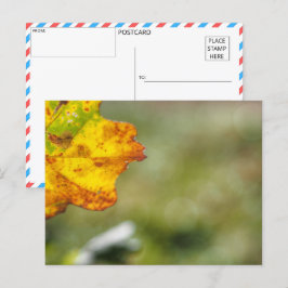 Postal Esplendor de otoño: hoja de cierre
