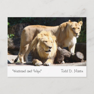Postal "Esposo y esposa" Por: Todd D. Martin
