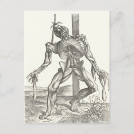 Postal Esqueleto Cadáver Anatomía Médica