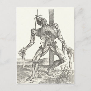 Postal Esqueleto Cadáver Anatomía Médica