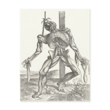 Esqueleto Cadáver Anatomía Médica