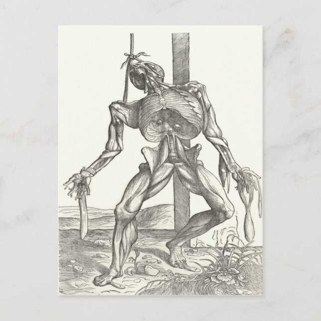 Postal Esqueleto Cadáver Anatomía Médica (Anverso)