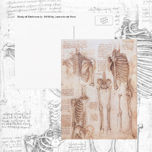 Postal Esqueleto de huesos de la anatomía humana de Leona