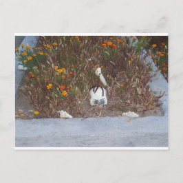 Postal Esqueleto de Marigolds