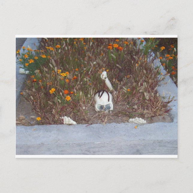 Postal Esqueleto de Marigolds (Anverso)