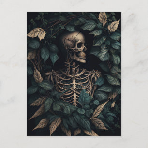 Postal Esqueleto en plantas