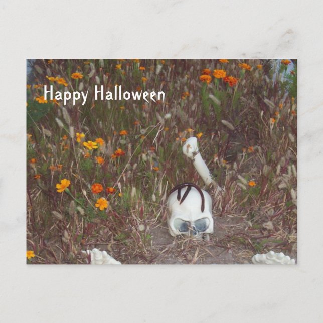 Postal Esqueleto falso de decoración de Halloween en Mari (Anverso)
