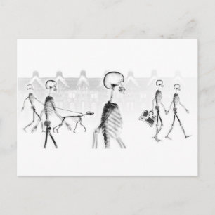 Postal Esqueletos de rayos X Paseo por la tarde Neg BW
