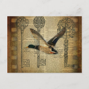 Postal esqueletos rústicos llaves mallard pato de campo o