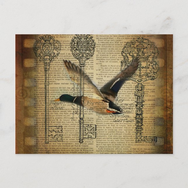 Postal esqueletos rústicos llaves mallard pato de campo o (Anverso)