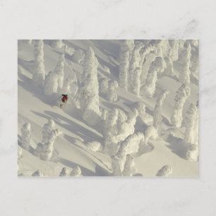 Postal Esquiador alpino en fantasmas de nieve espesos en 