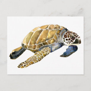 Postal Esquina acuática de la tortuga marina