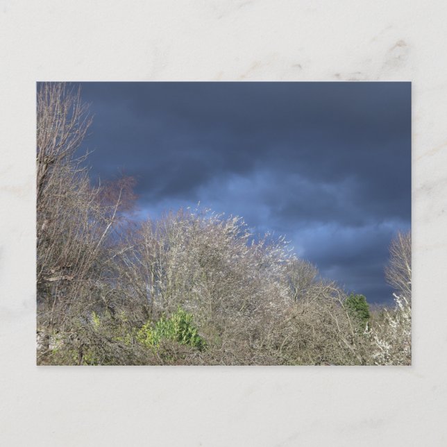 Postal Esquina Azul Profunda (Anverso)