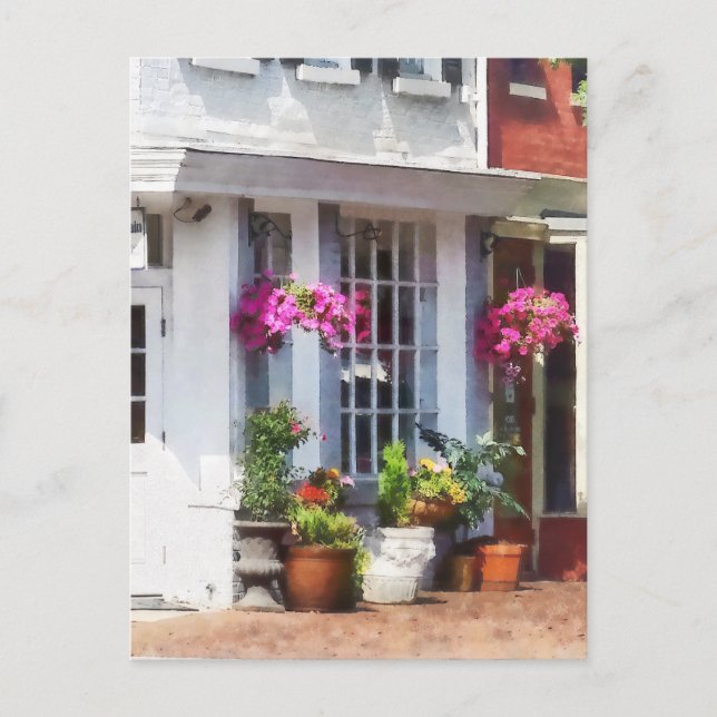 Postal Esquina de King Street y S Alfred Alexandria VA (Anverso)