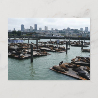 Postal Esquina de San Francisco y Pier 39 Sea Lions City