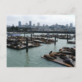 Postal Esquina de San Francisco y Pier 39 Sea Lions City
