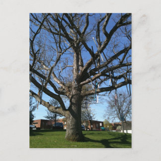 Postal Esquinas en un árbol