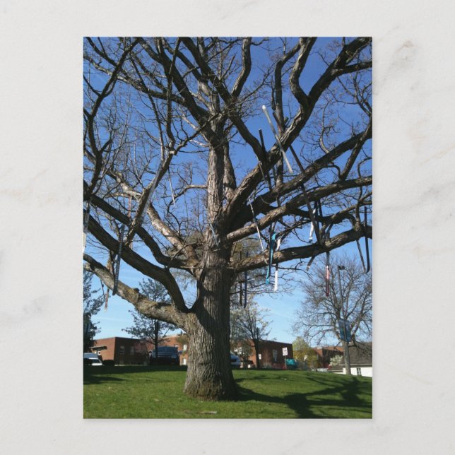 Postal Esquinas en un árbol (Anverso)