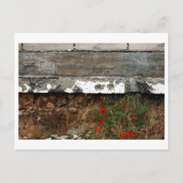 Postal Esquirlas y amapolas, Sarajevo