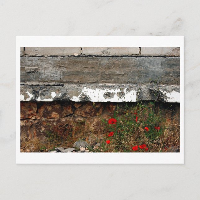 Postal Esquirlas y amapolas, Sarajevo (Anverso)