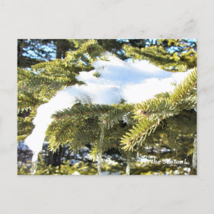 Postal Esta es la temporada alta en el norte, feriado de 