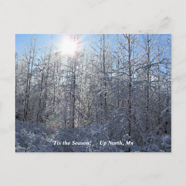 Postal Esta es la temporada alta en el norte, feriado de  (Anverso)