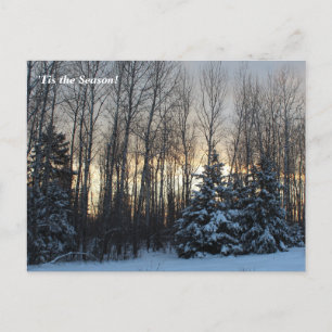 Postal Esta es la temporada alta en el norte, feriado de 