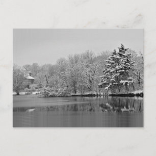 Postal Está nevando sobre el lago, Monocromo Panorámico